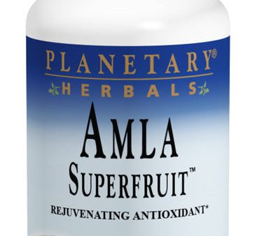 PLANETARY HERBALS - Amla Superfruit 500 mg - 60 Tablets Hot on Sale