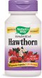 NATURES WAY - Hawthorn Standardized - 90 Vegetarian Capsules Hot on Sale