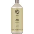 Bulbs & Roots Discipline Conditioner 1000ml Sale