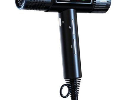 Wahl Professional Vanquish Hair Dryer Online Sale